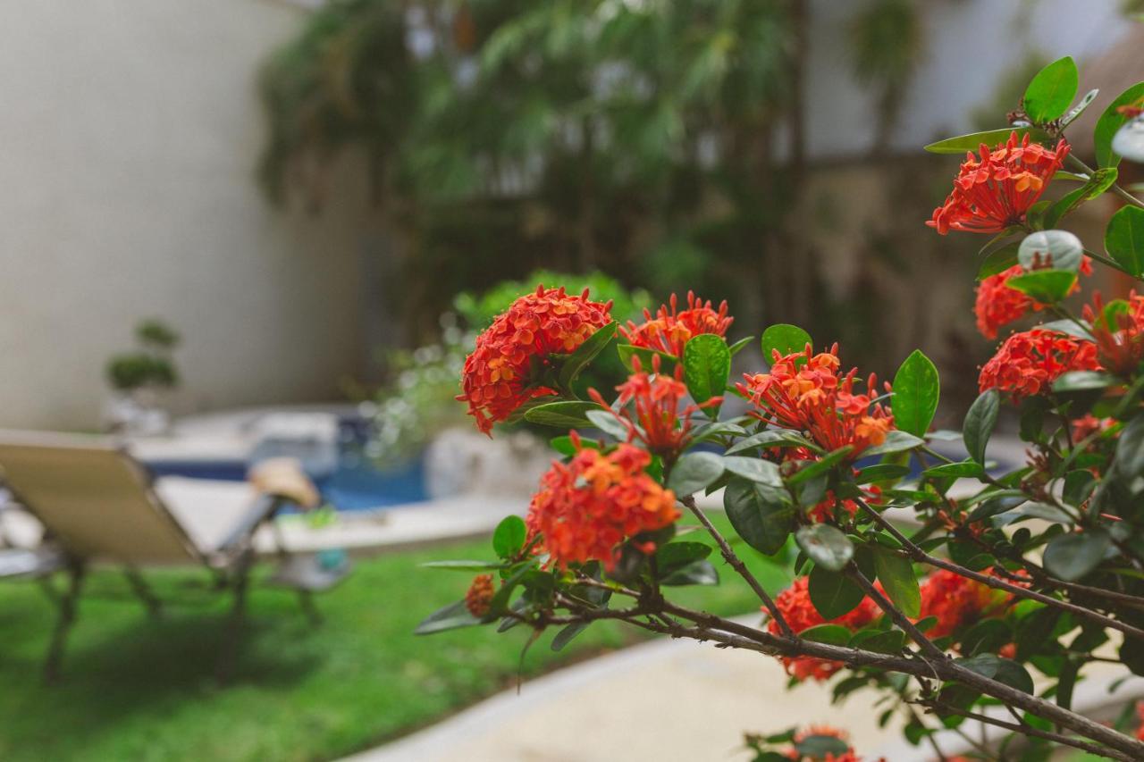 Casa Frida